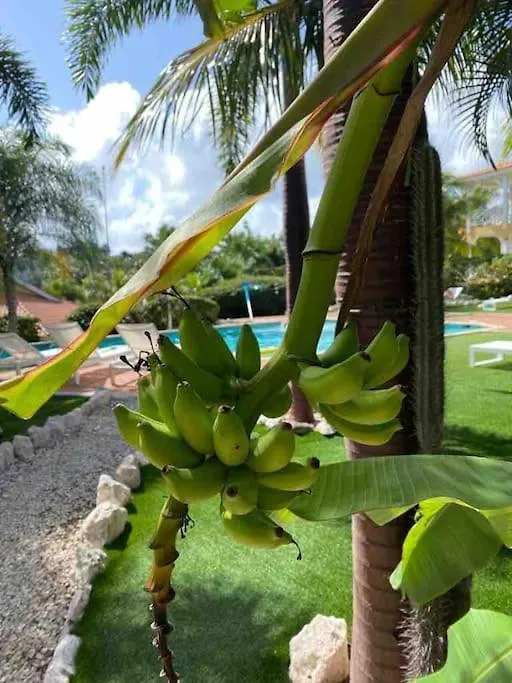 Tropisch Paradijs Villa Jan Thiel Curacao Apartment